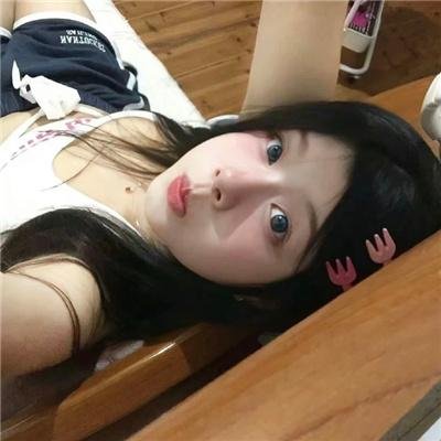 迷途之犬