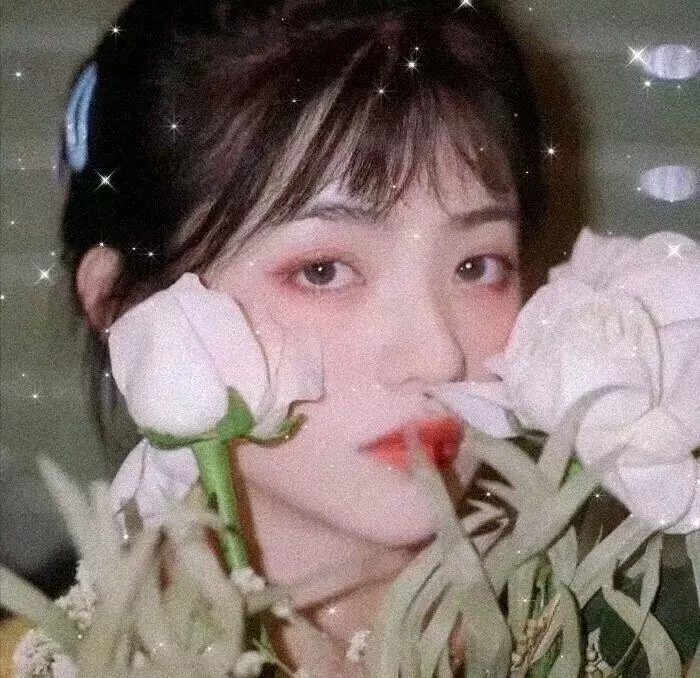 罗莎的机会